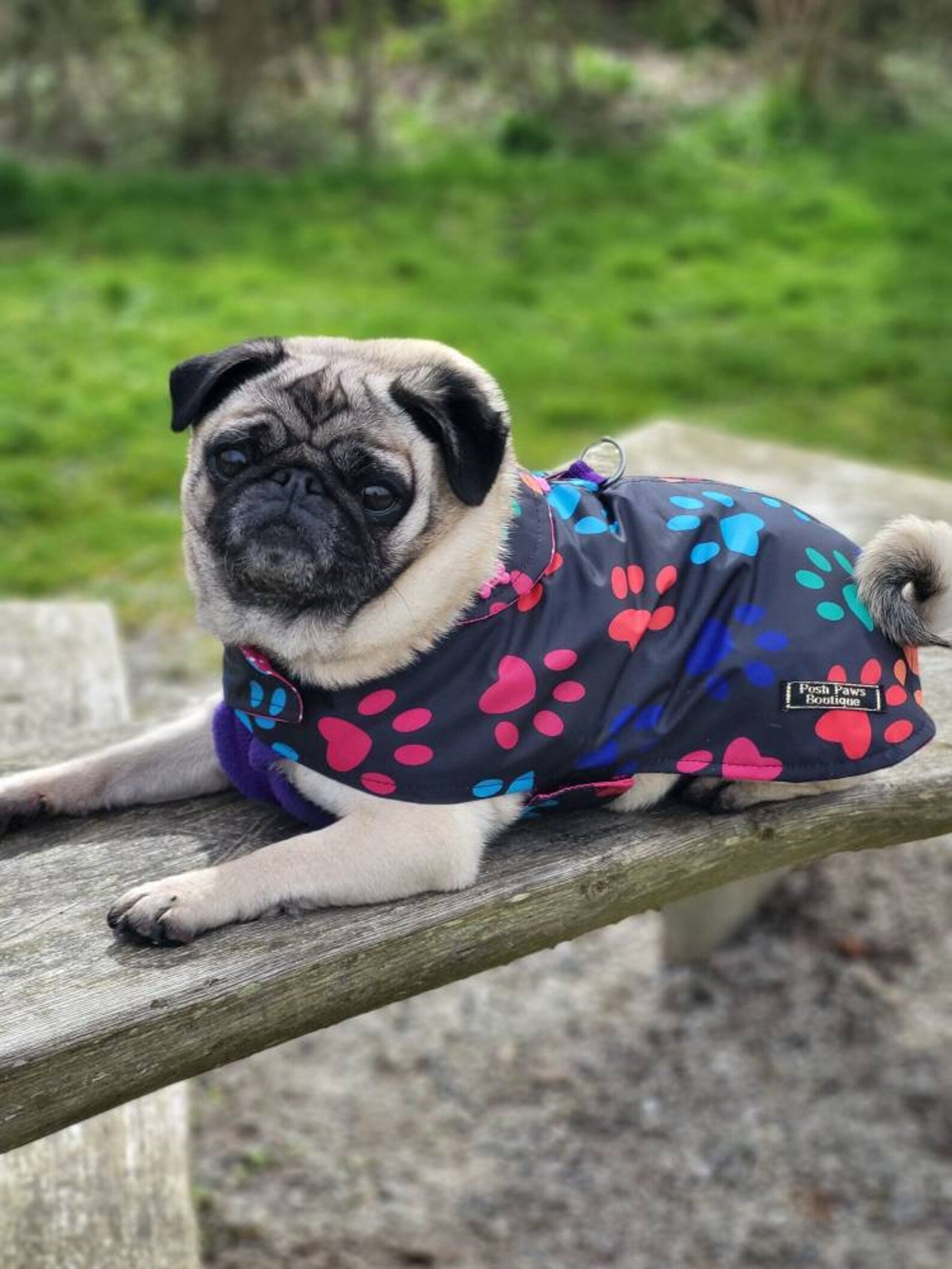 Paw Prints lightweight spring / summer made to measure waterproof handmade dog coat in carry bag