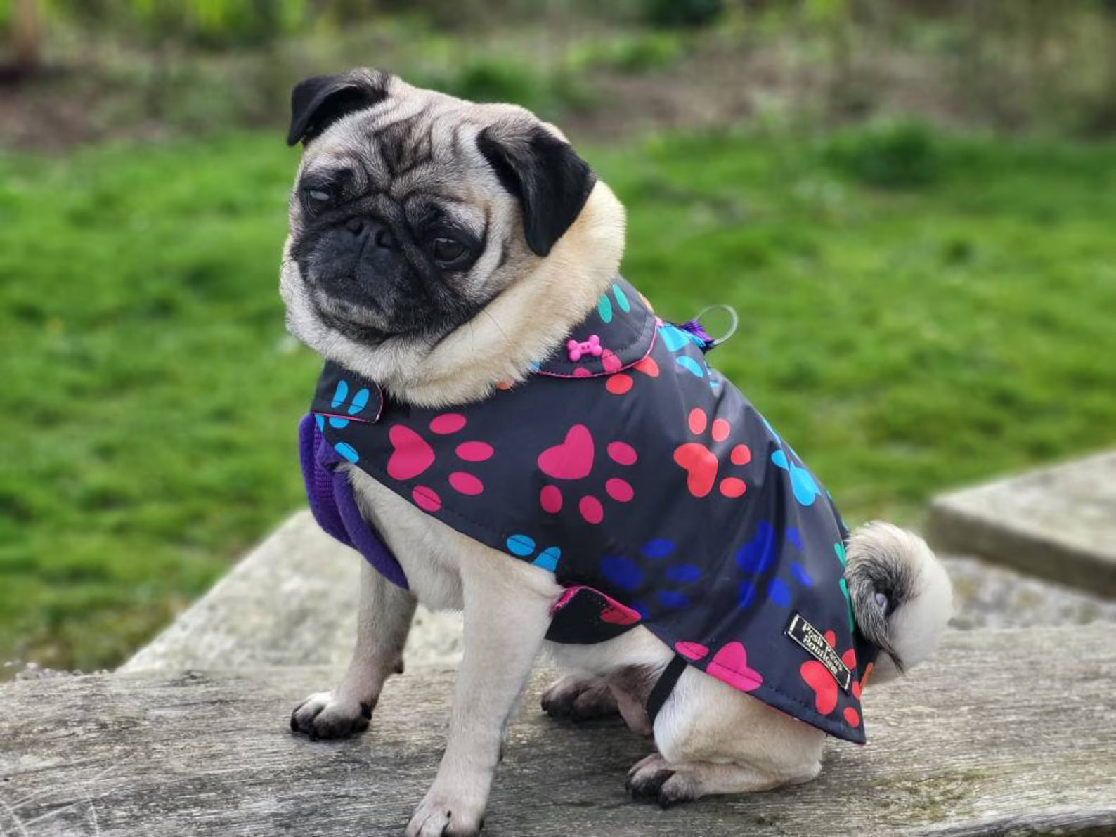 Paw Prints lightweight spring / summer made to measure waterproof handmade dog coat in carry bag