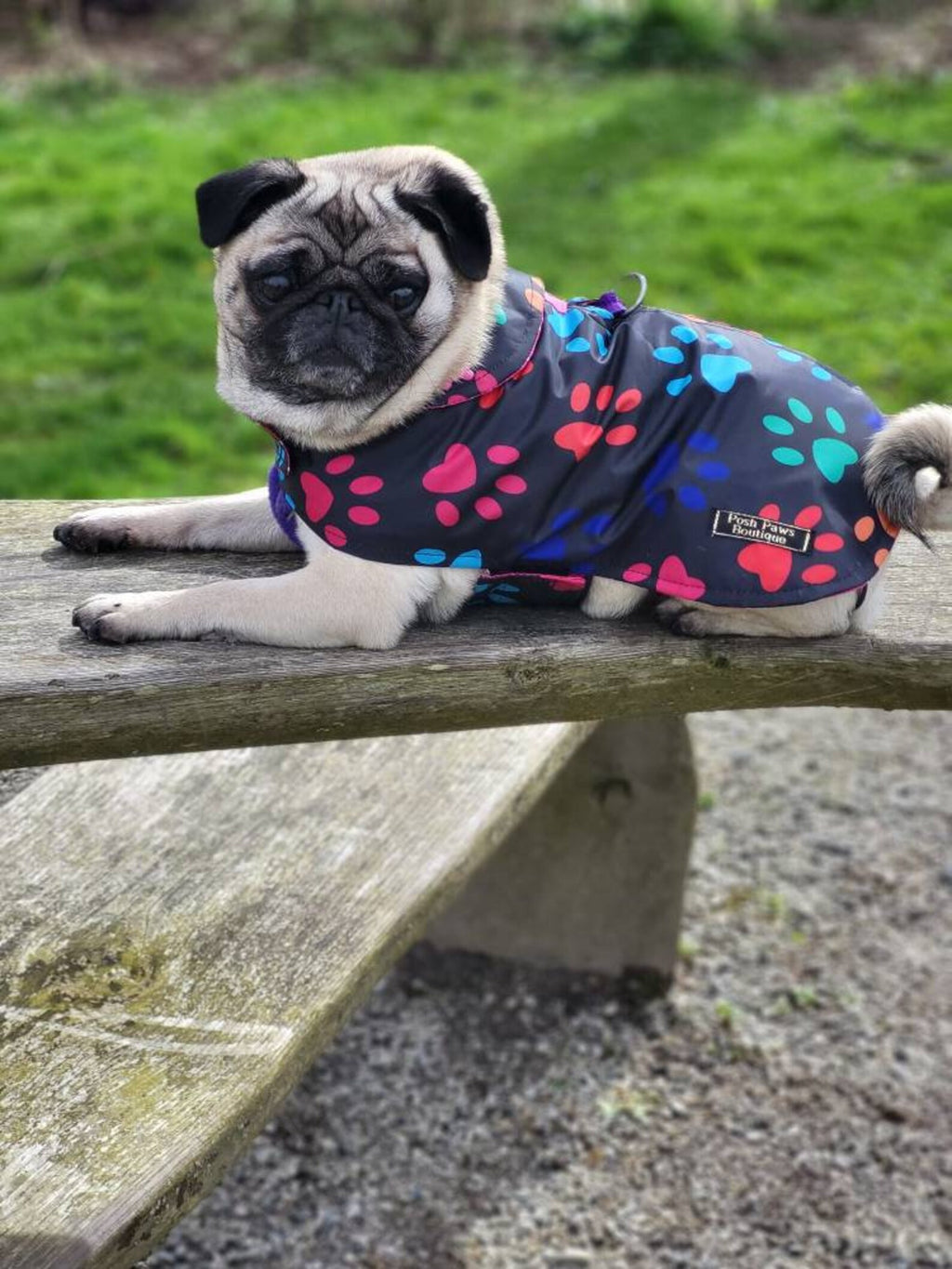 Paw Prints lightweight spring / summer made to measure waterproof handmade dog coat in carry bag