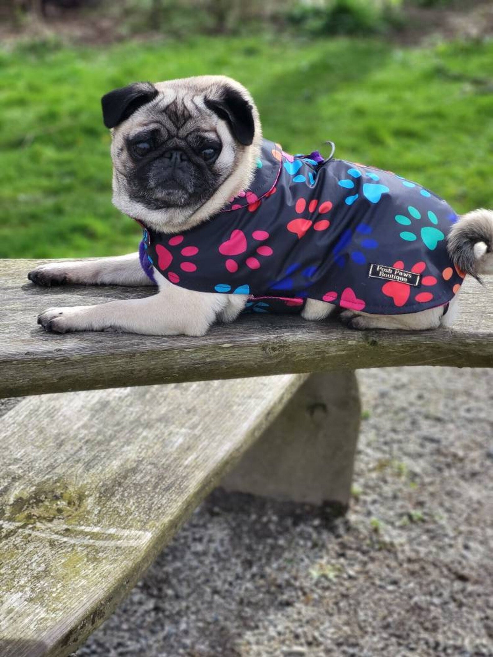 Paw Prints lightweight spring / summer made to measure waterproof handmade dog coat in carry bag