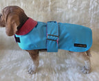 Turquoise with Pink Leather Collar Made to Measure Custom Waterproof Fleece Lined Bespoke Dog Coat