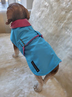 Turquoise with Pink Leather Collar Made to Measure Custom Waterproof Fleece Lined Bespoke Dog Coat