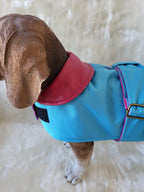 Turquoise with Pink Leather Collar Made to Measure Custom Waterproof Fleece Lined Bespoke Dog Coat