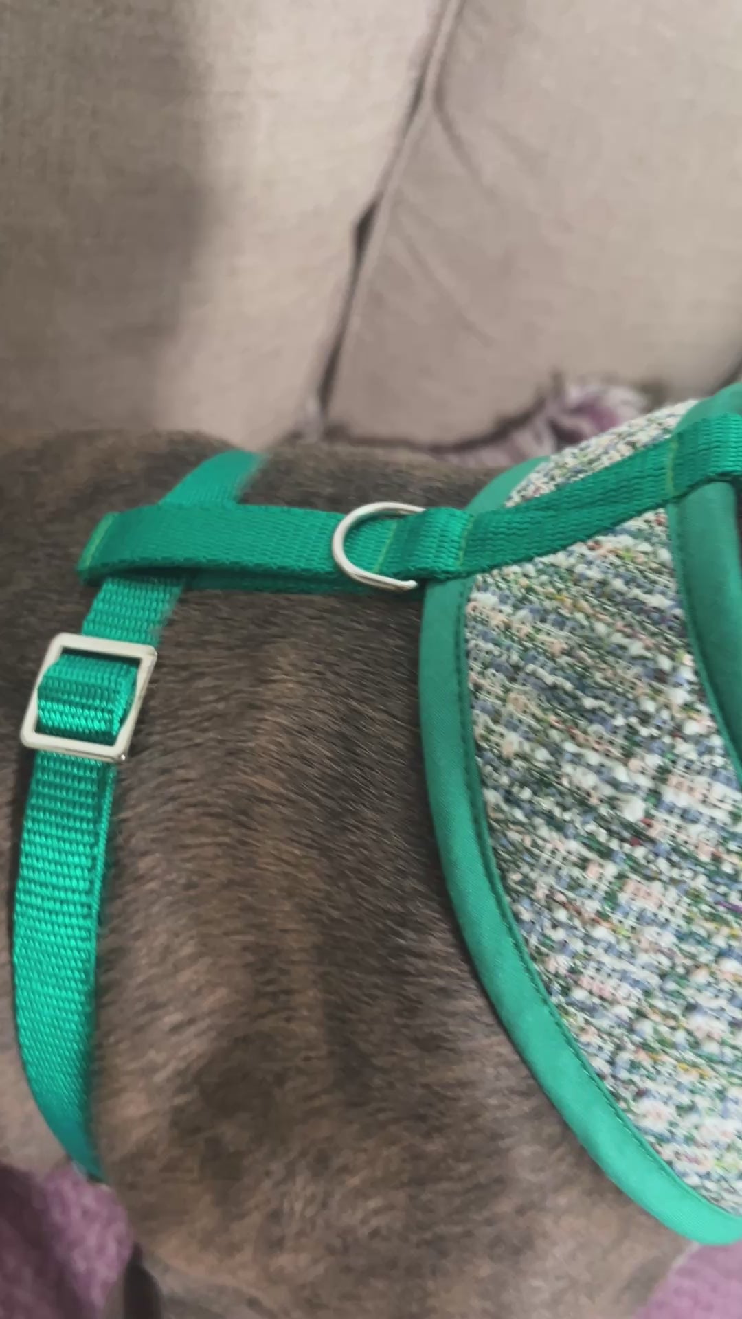 Luxury Green Tweed Harness