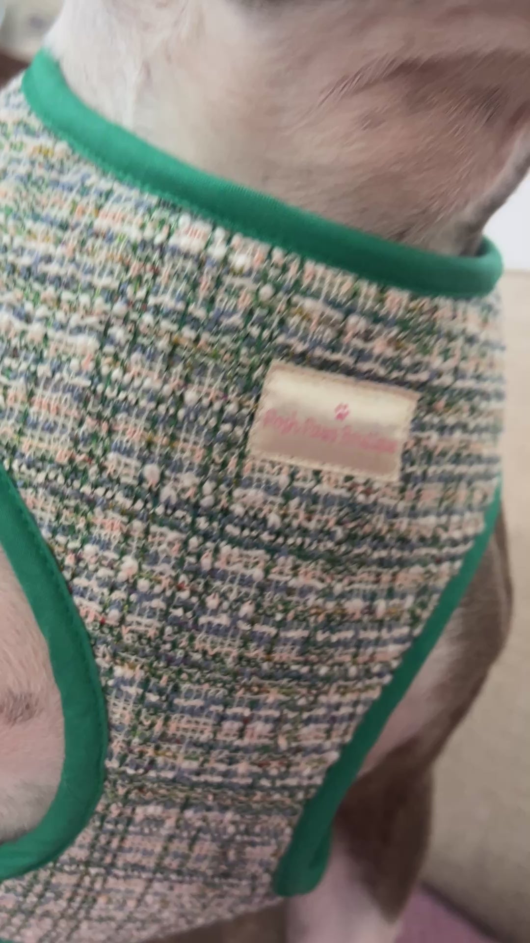 Luxury Green Tweed Harness